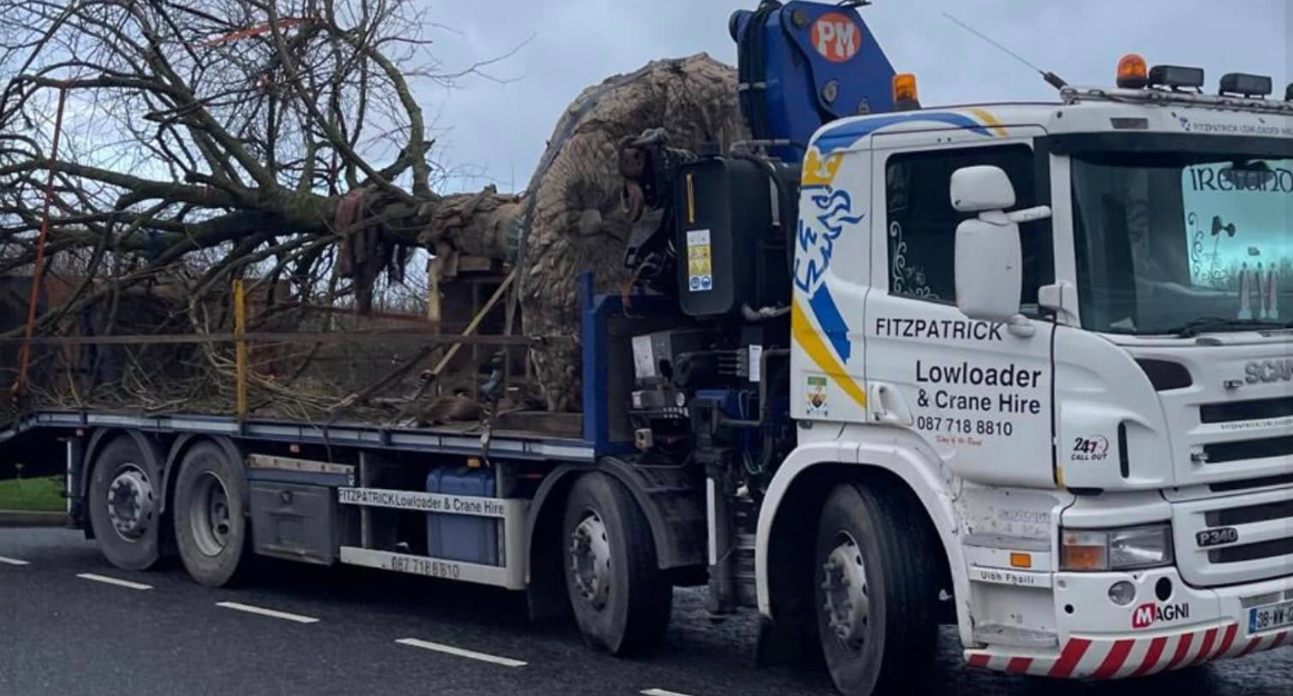 Fitzpatrick Scania crane truck transporting an uprooted tree